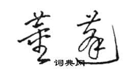 駱恆光董蓬草書個性簽名怎么寫