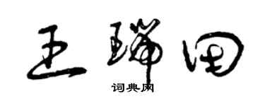 曾慶福王瑞田草書個性簽名怎么寫