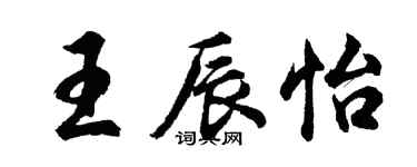 胡問遂王辰怡行書個性簽名怎么寫