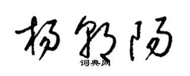 梁錦英楊朝陽草書個性簽名怎么寫