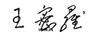 駱恆光王密羅草書個性簽名怎么寫