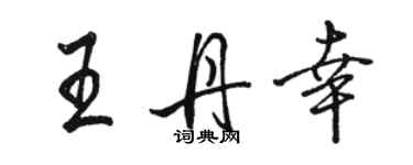 駱恆光王丹幸行書個性簽名怎么寫