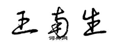 曾慶福王南生草書個性簽名怎么寫