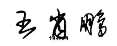 朱錫榮王肖鵬草書個性簽名怎么寫