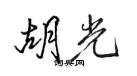 駱恆光胡光行書個性簽名怎么寫