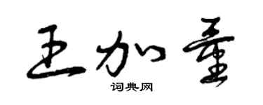 曾慶福王加量草書個性簽名怎么寫