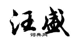 胡問遂汪盛行書個性簽名怎么寫
