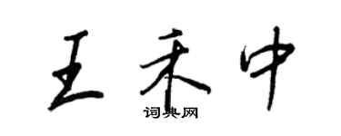 王正良王禾中行書個性簽名怎么寫