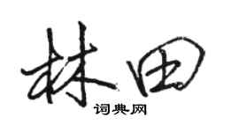 駱恆光林田行書個性簽名怎么寫