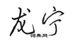 駱恆光龍寧行書個性簽名怎么寫