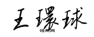 王正良王環球行書個性簽名怎么寫