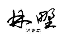 朱錫榮林野草書個性簽名怎么寫