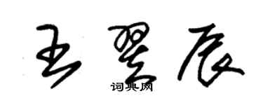 朱錫榮王翌辰草書個性簽名怎么寫