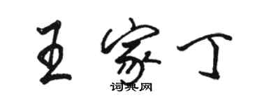 駱恆光王家丁行書個性簽名怎么寫