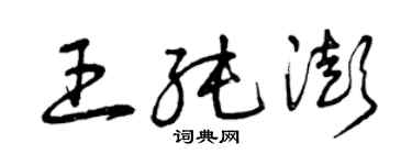 曾慶福王純澎草書個性簽名怎么寫