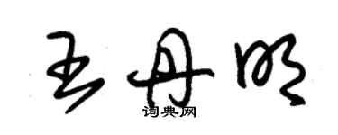 朱錫榮王丹明草書個性簽名怎么寫