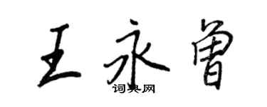 王正良王永曾行書個性簽名怎么寫