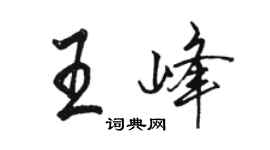 駱恆光王峰行書個性簽名怎么寫