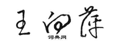 駱恆光王向萍草書個性簽名怎么寫