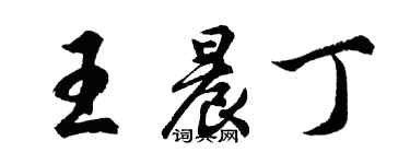 胡問遂王晨丁行書個性簽名怎么寫