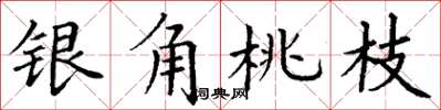 丁謙銀角桃枝楷書怎么寫