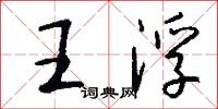 王浮怎么寫好看