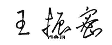 駱恆光王振密草書個性簽名怎么寫