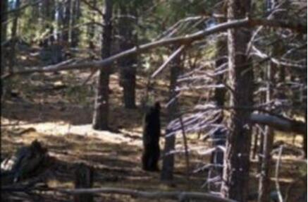 2005年7月9日中國作家陸文夫逝世_歷史上的今天