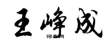 胡問遂王崢成行書個性簽名怎么寫