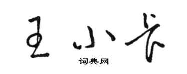 駱恆光王小卡草書個性簽名怎么寫