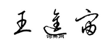 梁錦英王進宙草書個性簽名怎么寫