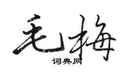 駱恆光毛梅行書個性簽名怎么寫