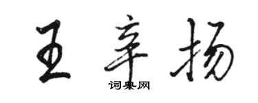 駱恆光王辛揚行書個性簽名怎么寫