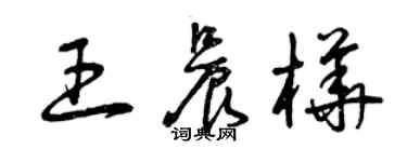 曾慶福王晨樺草書個性簽名怎么寫