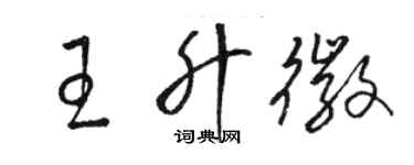 駱恆光王升徽草書個性簽名怎么寫