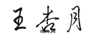 駱恆光王杏月行書個性簽名怎么寫