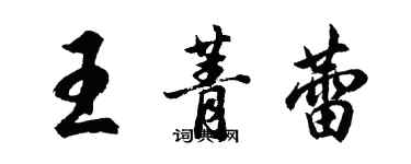 胡問遂王菁蕾行書個性簽名怎么寫