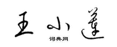 梁錦英王小蓮草書個性簽名怎么寫