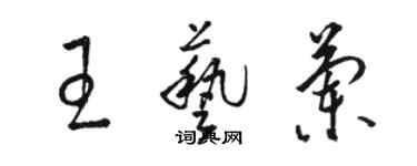 駱恆光王藝蘭草書個性簽名怎么寫