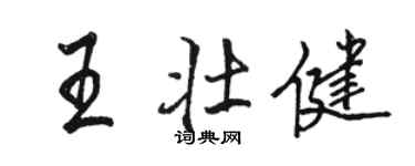 駱恆光王壯健行書個性簽名怎么寫