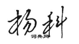 駱恆光楊科草書個性簽名怎么寫