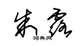 朱錫榮朱露草書個性簽名怎么寫