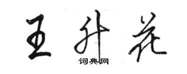 駱恆光王升花行書個性簽名怎么寫