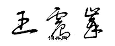 曾慶福王震峰草書個性簽名怎么寫