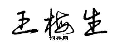 曾慶福王梅生草書個性簽名怎么寫