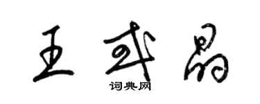 梁錦英王或晶草書個性簽名怎么寫