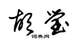 朱錫榮胡瑩草書個性簽名怎么寫