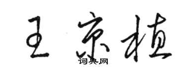 駱恆光王京植草書個性簽名怎么寫