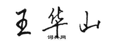 駱恆光王華山行書個性簽名怎么寫