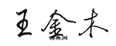 駱恆光王金木行書個性簽名怎么寫